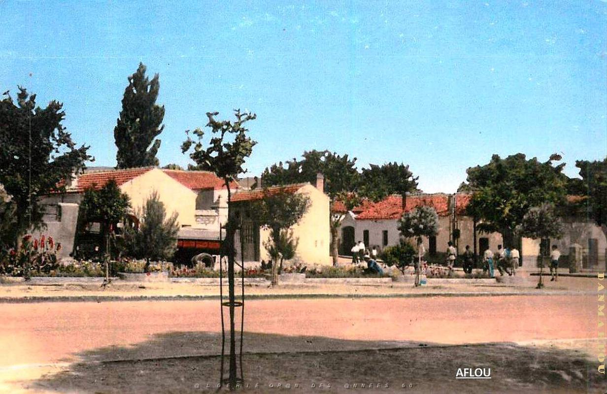 Aflou 705.jpg